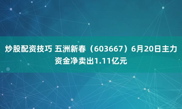 炒股配资技巧 五洲新春（603667）6月20日主力资金净卖出1.11亿元