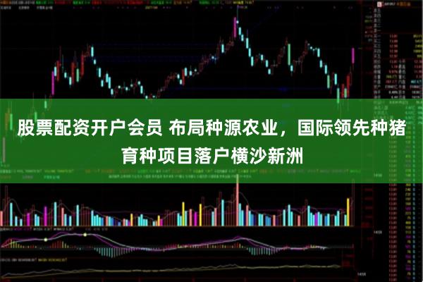 股票配资开户会员 布局种源农业，国际领先种猪育种项目落户横沙新洲